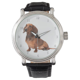 Relógio do Dachshund