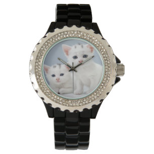 Relógio Dois gatinhos brancos muito novos olham fixamente