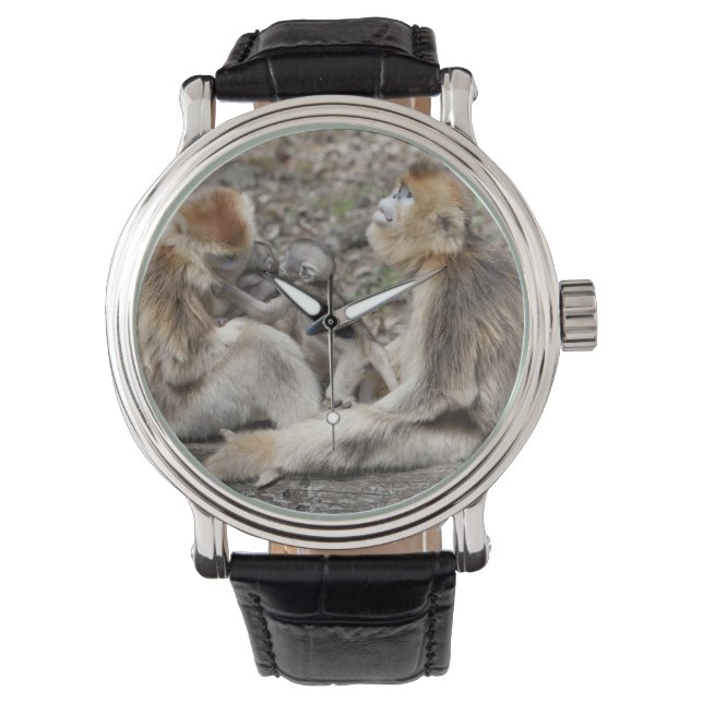 Relógio Dois macacos Ouros fêmeas com recém-nascidos (Frente)
