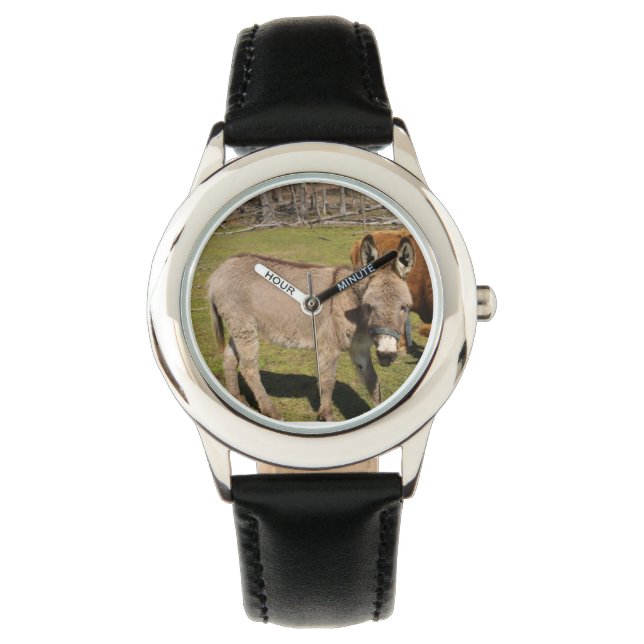 Relógio Donkey Watch (Frente)