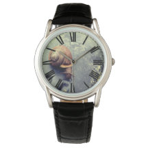 Em um Rastreio de Caracóis