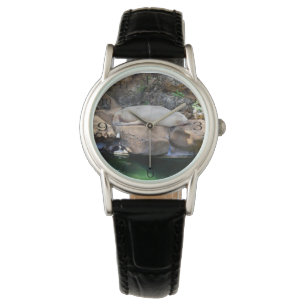 Relógio Engraçado Leão Branco Dormindo, Senhoras Assista