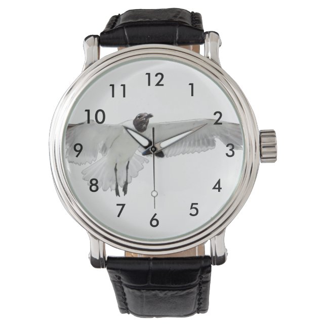 Relógio Espalhar As Asas PNG (Frente)