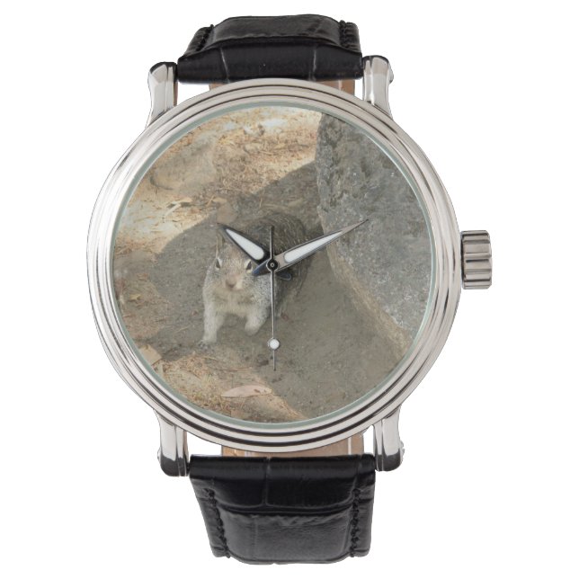 Relógio Esquilo Fofo em Yosemite, Califórnia (Frente)