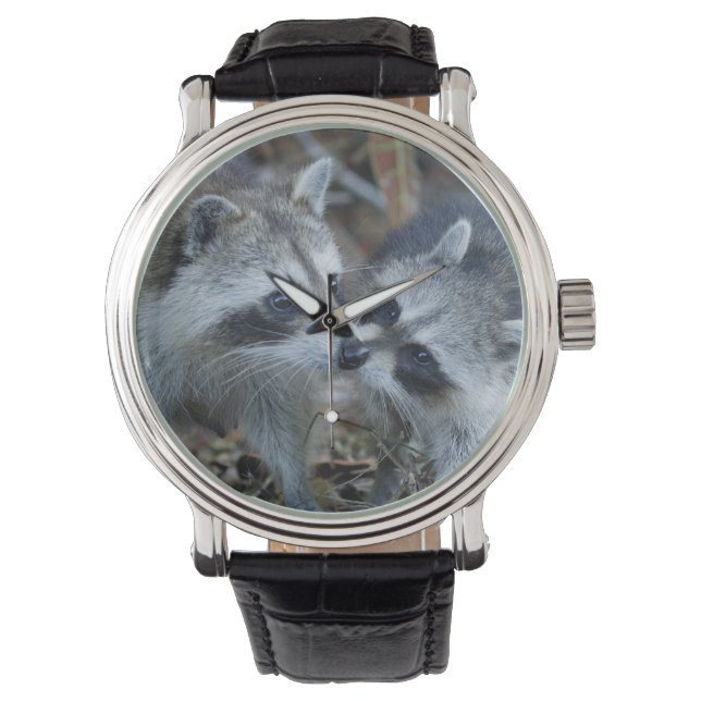 Relógio EUA, Flórida, Sanibel, Ding Querido Nacional (Frente)