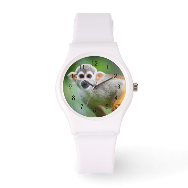 Relógio Fechamento de um Macaco Esquilo Comum (Frente)