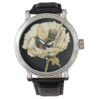 Flor de Creme Poppy no Fundo Preto