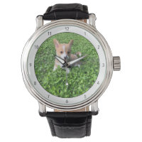 Foto Personalizada De Cão Adicionar Sua Própria Fo