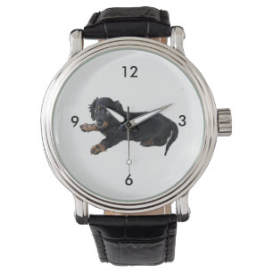 Relógio Fotografia do Spppy do Cocker Black Dachshund