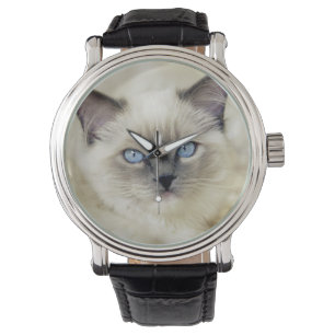 Relógio gatinho Ragdoll