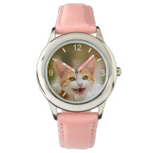 Gatinho Sorridente Enfrentando Gato Engraçado Foto