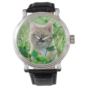 Relógio Gato na Natureza