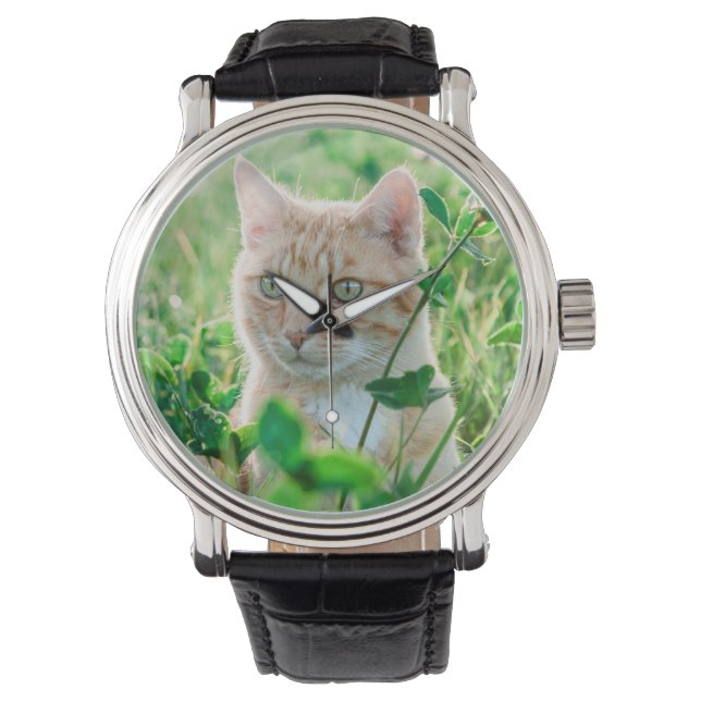 Relógio Gato na Natureza (Frente)