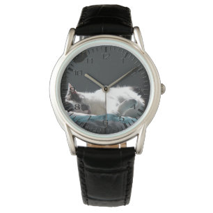 Relógio Gato no Sunspot Não Incomodar