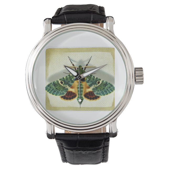 Relógio gelechiid moth 220924IREF212 - Watercolor (Frente)