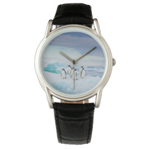 Relógio Gelo e neve   Pinguins de adenda Antártica