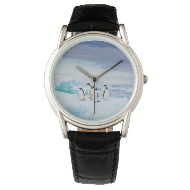 Relógio Gelo e neve | Pinguins de adenda Antártica (Frente)