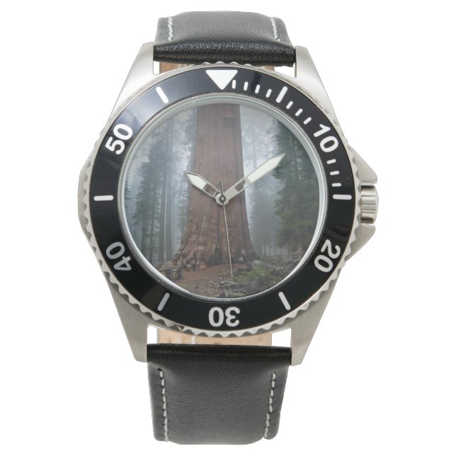 Relógio General Sherman Tree, Sequoia, CA (Frente)