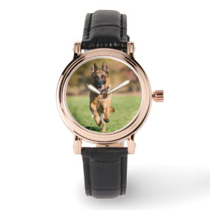 Relógio German shepherd em execução