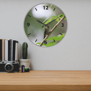 Relógio Grande A Mulher Ruby Throated Hummingbird (A Vigia)