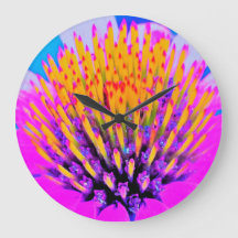 Abstrato Macro Rosa Quente e Amarelo Coneflower