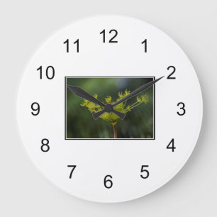 Relógio Grande Adelação de erva daninha