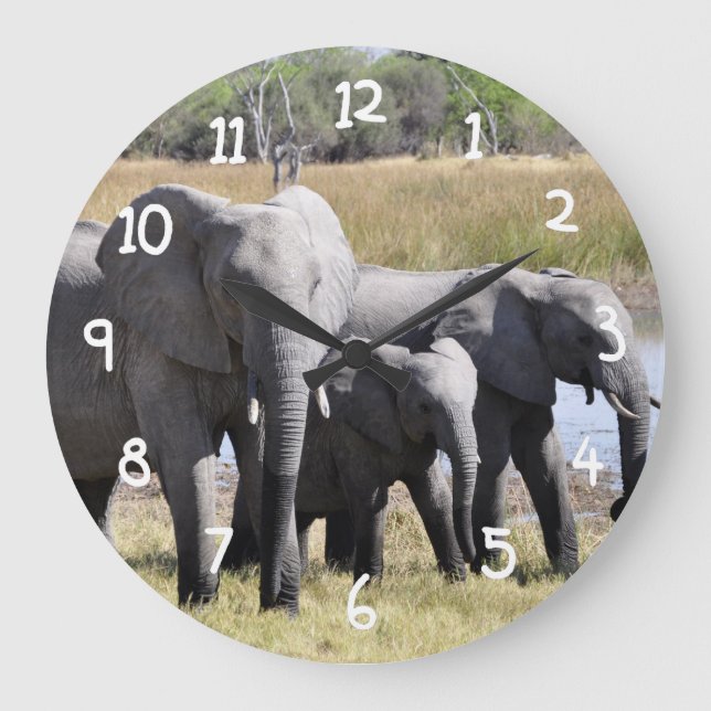 Relógio Grande Africa Elephant Herds (Frente)