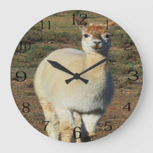 Relógio Grande Alpaca Branco Sorrindo,