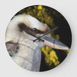 Relógio Grande Australiano Ria Kookaburra 