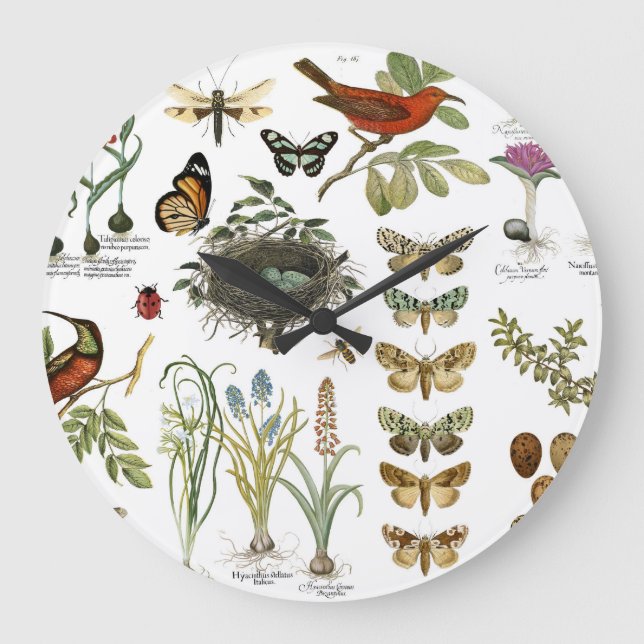 Relógio Grande aves botânicas e flores da frança moderna e antiga (Frente)