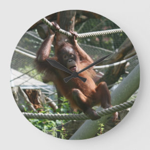 Relógio Grande Baby Orangutan - Aguente aí