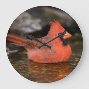 Relógio Grande Banho masculino cardinal do norte