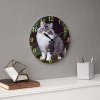 Banjo, Persa: Uma Cinza Fluffy e Delícia Branca