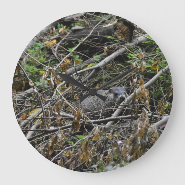 Relógio Grande Beaver Ocupado (Frente)