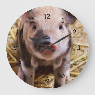 Relógio Grande Bebês bonitos do Barnyard dos animais de fazenda