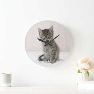 Relógio Grande Bebês Mais Pobres   Tabby Kitten De Licença