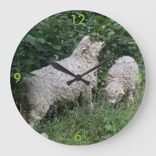 Relógio Grande Bela Ovelha Comendo Deixa Clock De Parede