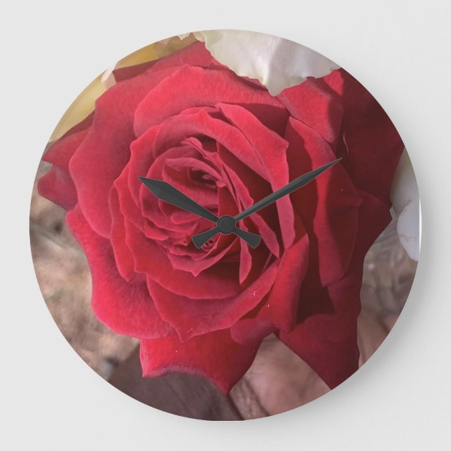 Relógio Grande Bela Rosa vermelha (Frente)