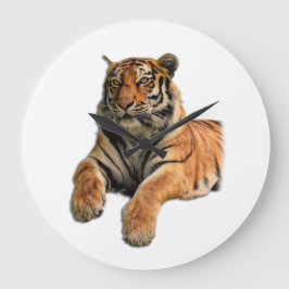 Relógio Grande Belo Tigre de Bengala Rosto e Foto de Pinças