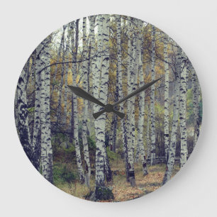 Relógio Grande Birch Forrest Autumn Photo Round Wall Clock