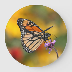 Relógio Grande Borboleta Monarca em Busca de Pólen