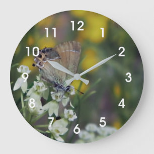 Relógio Grande Borboleta saltadora em uma flor