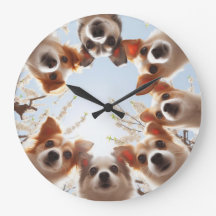 Cachorro de Cachorro Engraçado e Bonito