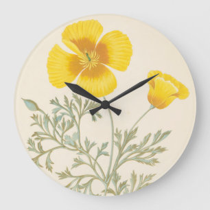 Relógio Grande Californian Eschscholtzia