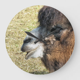 RELÓGIO GRANDE CAMELOS