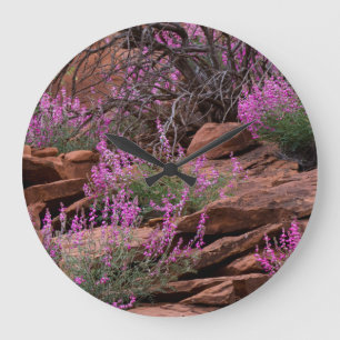Relógio Grande Capitol Reef National Park, Utah, USA