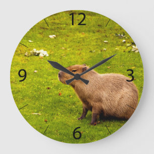 Relógio Grande Capivara