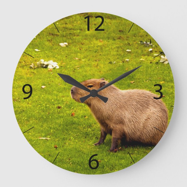 Relógio Grande Capivara (Frente)