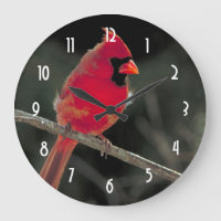 Cardeal Vermelho Emitido em uma Ramificação de Árv