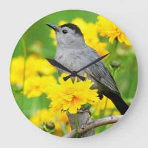 Relógio Grande Catbird cinzento na cerca de madeira